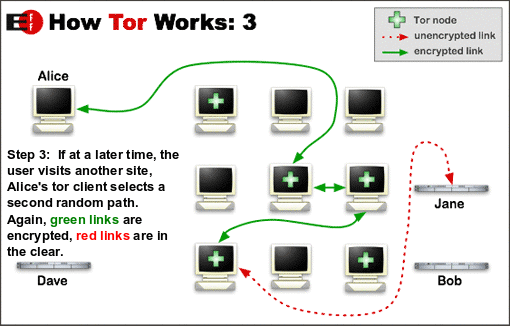 tor-3