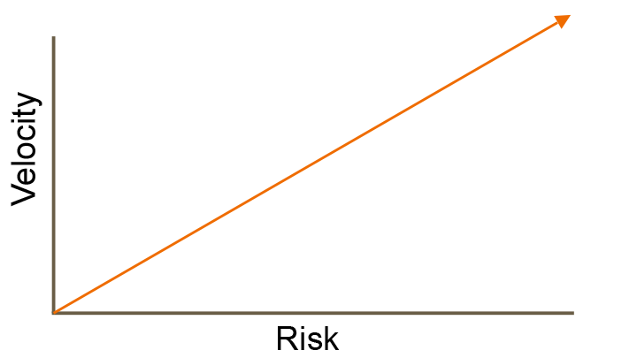 velocity-&-risk