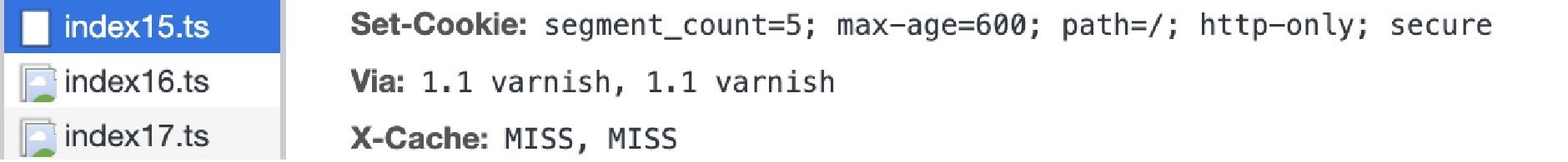 Segment Count 5