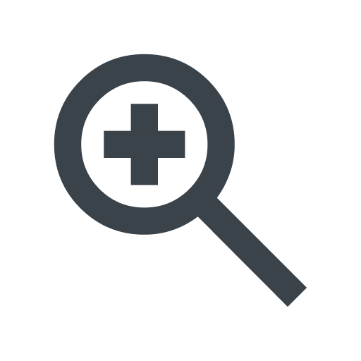 Zoom icon